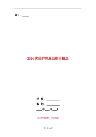 2024优质护理总结报告精选