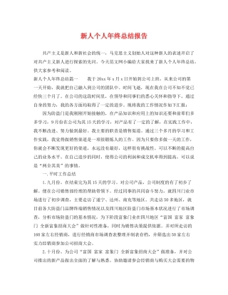 新人个人年终总结报告 