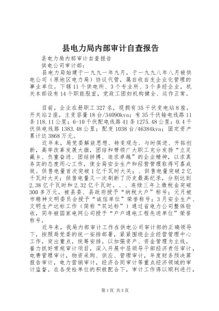 县电力局内部审计自查报告