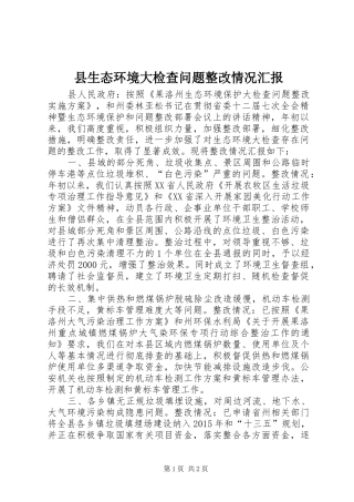 县生态环境大检查问题整改情况汇报