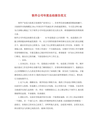 软件公司年度总结报告范文 