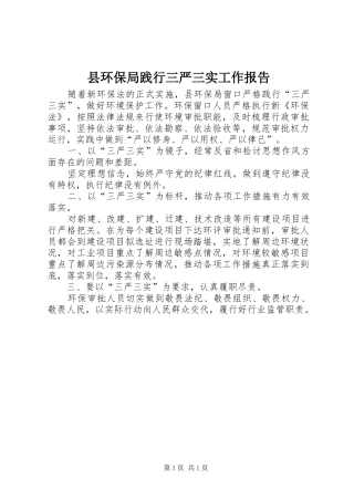 县环保局践行三严三实工作报告