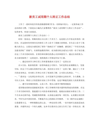 新员工试用期个人转正工作总结 