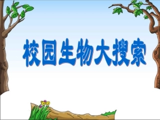 《校园生物大搜索》教学课件