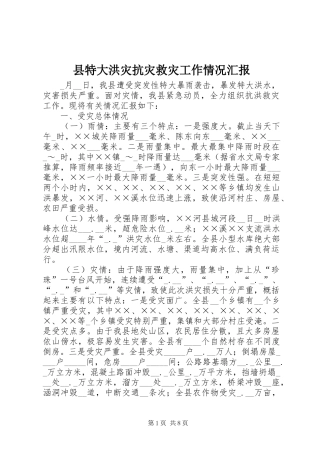 县特大洪灾抗灾救灾工作情况汇报
