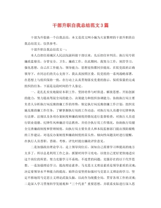 干部升职自我总结范文3篇 