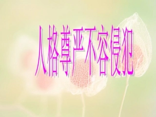 人格尊严不容侵犯(1)