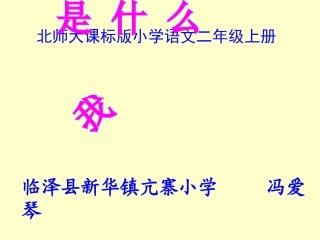 《我是什么》教学演示课件
