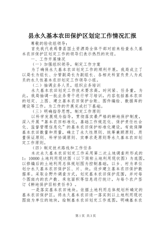 县永久基本农田保护区划定工作情况汇报