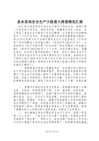 县水务局安全生产大检查大排查情况汇报
