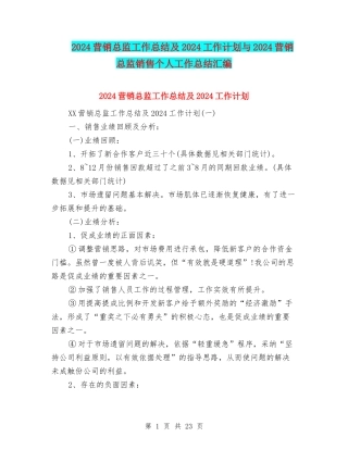 2024营销总监工作总结及2024工作计划与2024营销总监销售个人工作总结汇编