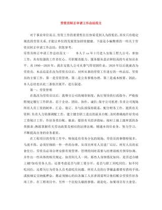 劳资员转正申请工作总结范文 
