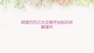 阿里巴巴三大交易平台知识讲解课件