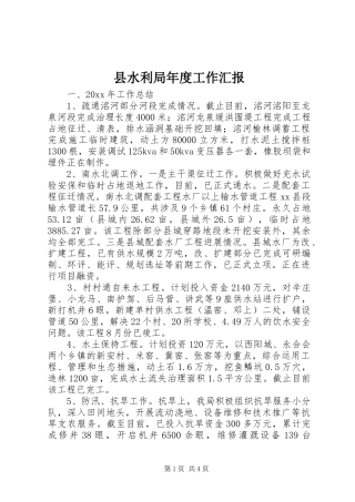 县水利局年度工作汇报
