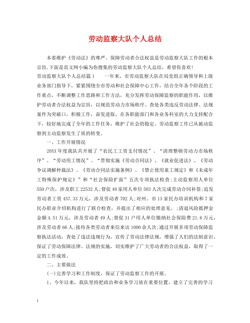 劳动监察大队个人总结 _第1页