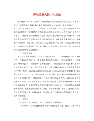 劳动监察大队个人总结 