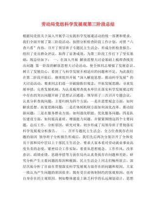 劳动局党组科学发展观第三阶段总结 