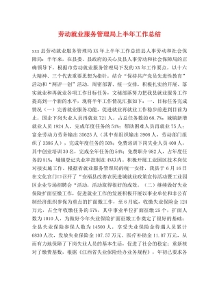 劳动就业服务管理局上半年工作总结 