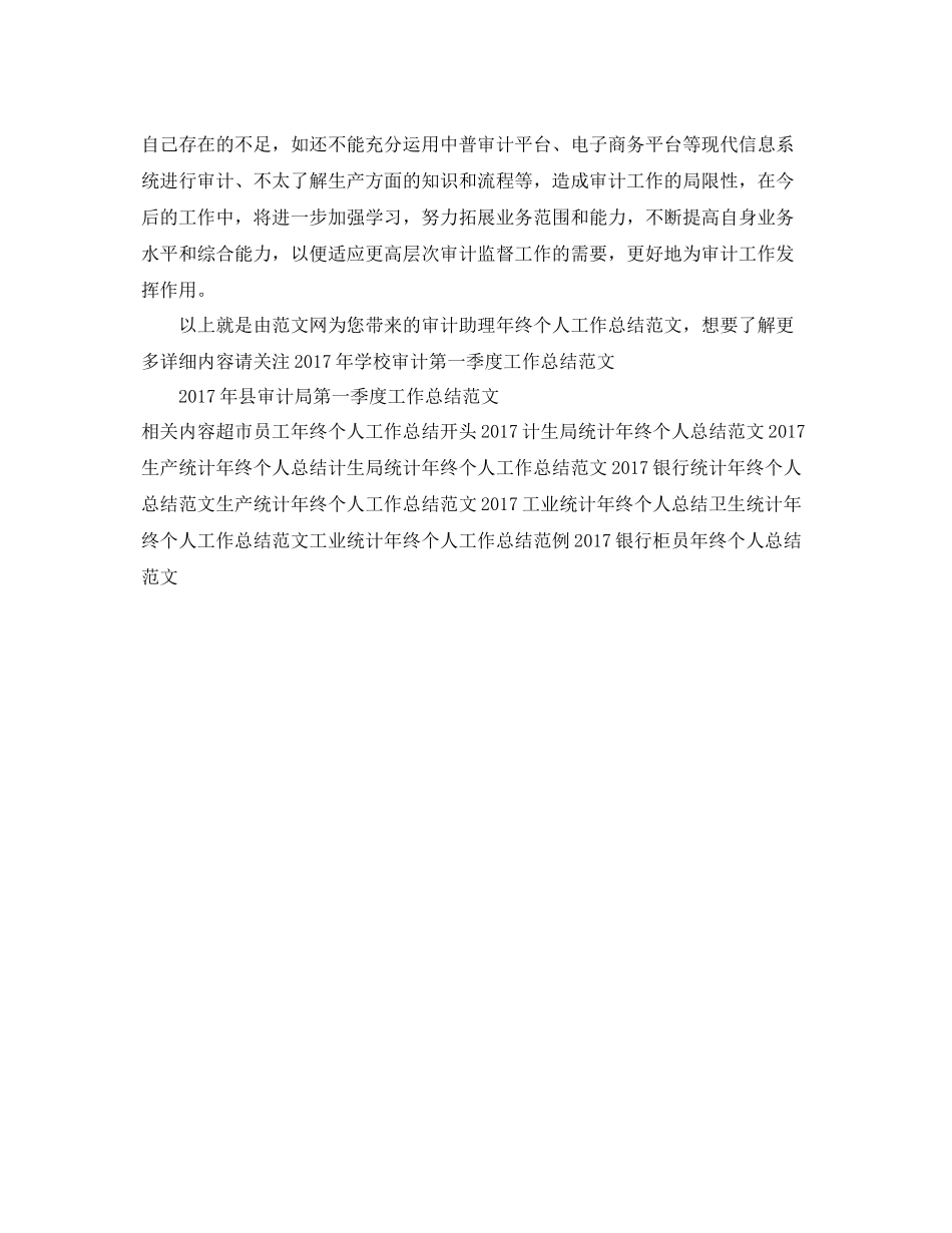 审计助理年终个人工作总结范文 _第2页