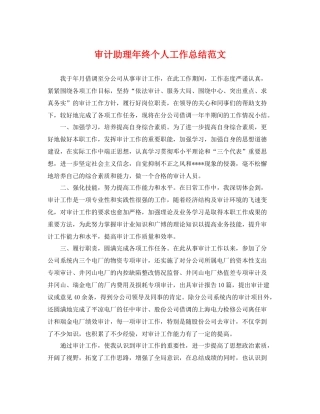 审计助理年终个人工作总结范文 