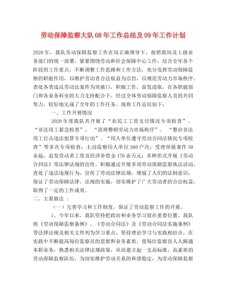 劳动保障监察大队08年工作总结及09年工作计划 