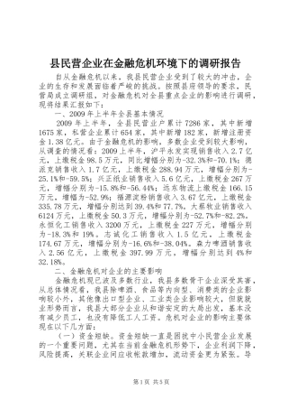 县民营企业在金融危机环境下的调研报告