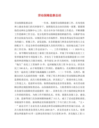 劳动保障监察总结2 