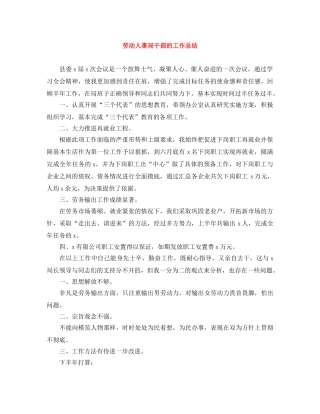 劳动人事局干部的工作总结 