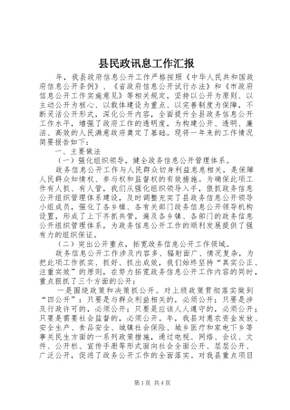 县民政讯息工作汇报