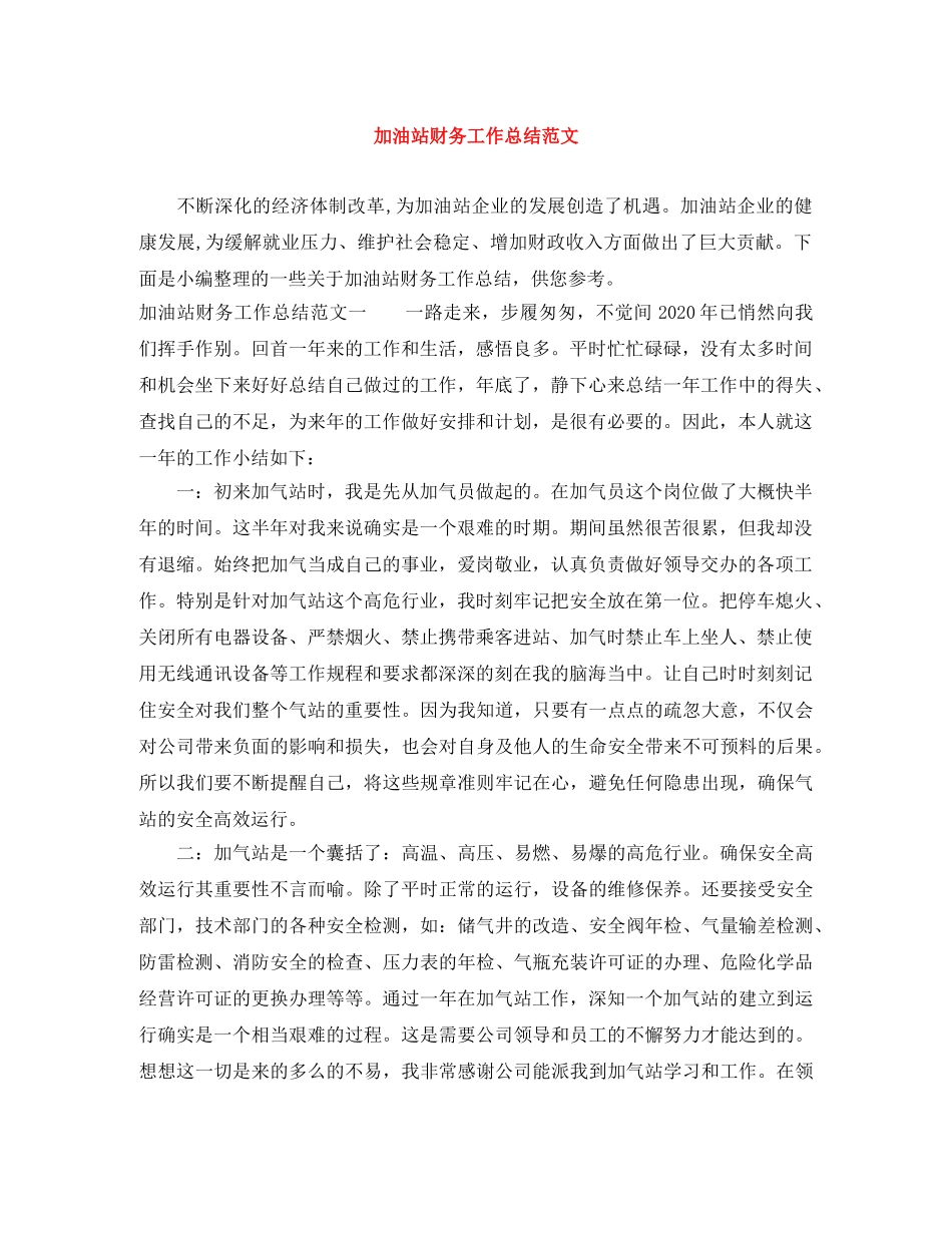 加油站财务工作总结范文 _第1页