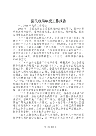 县民政局年度工作报告