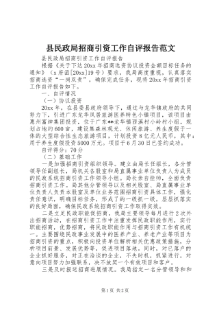 县民政局招商引资工作自评报告范文