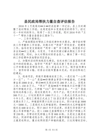 县民政局帮扶力量自查评估报告