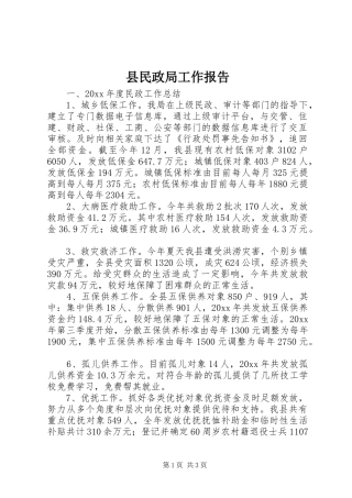 县民政局工作报告