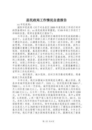 县民政局工作情况自查报告