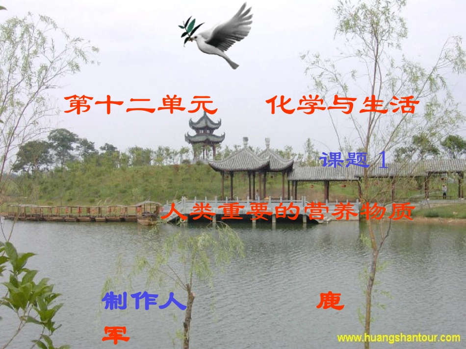 课题1　人类重要的营养物质2_第1页