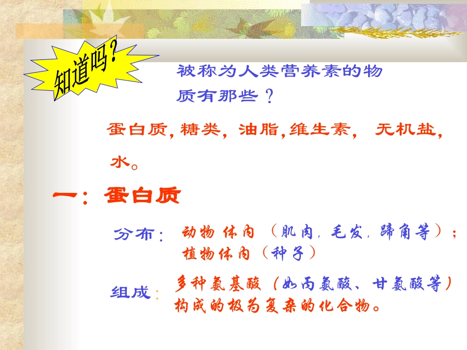 课题1　人类重要的营养物质2_第2页