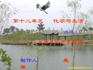 课题1　人类重要的营养物质2