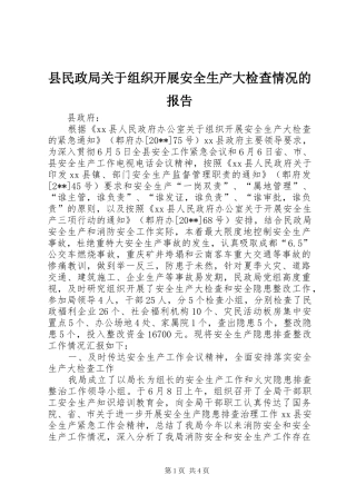 县民政局关于组织开展安全生产大检查情况的报告