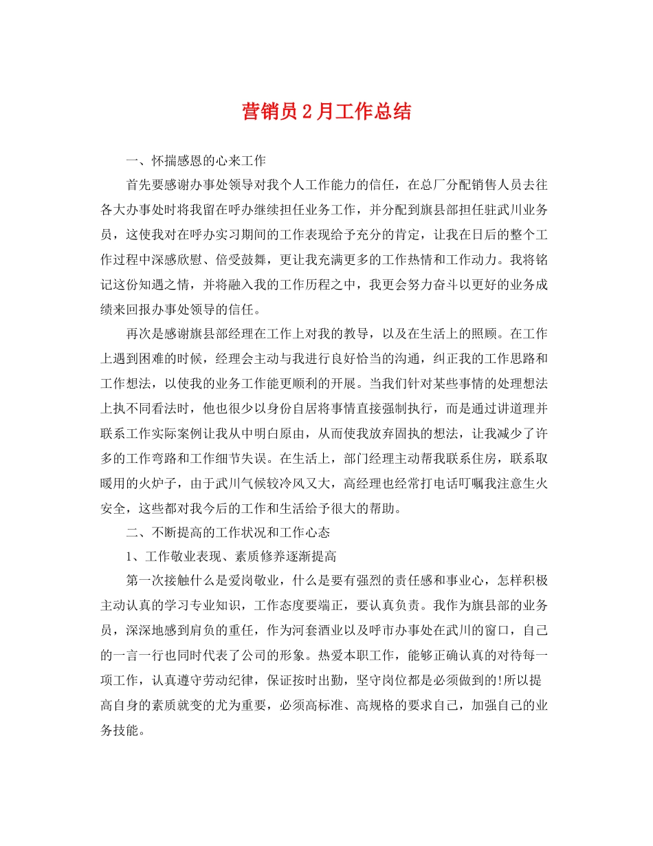 营销员2月工作总结 _第1页