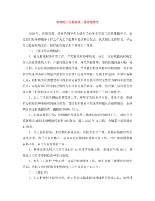 农经的工作总结及工作计划范文 