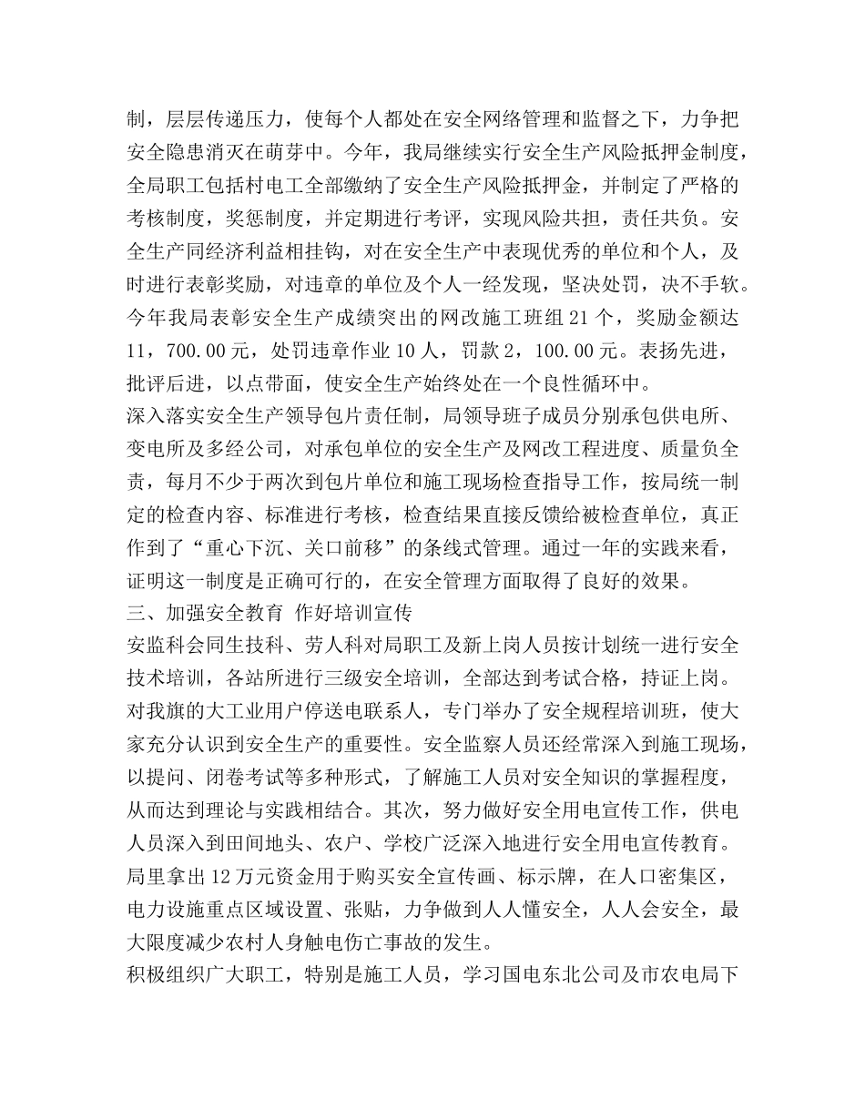 农电局年度安全总结 _第2页