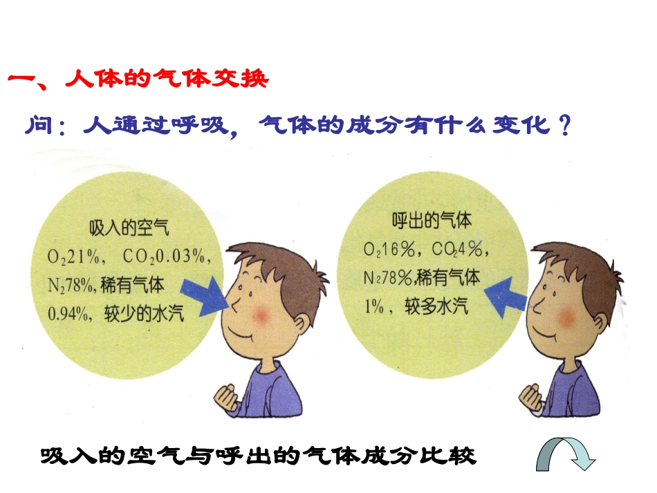 人体与外界气体交换2_第1页