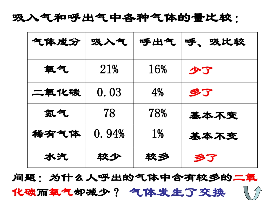 人体与外界气体交换2_第2页
