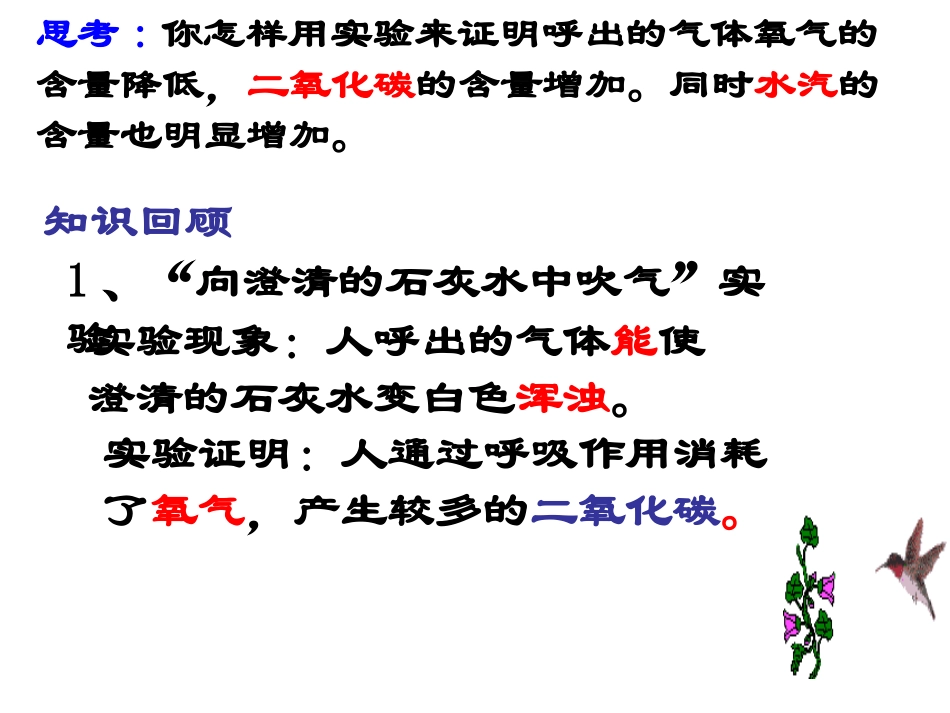 人体与外界气体交换2_第3页