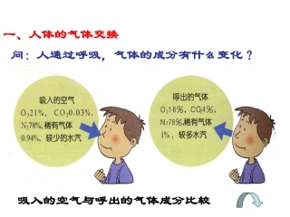 人体与外界气体交换2