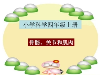 骨骼、关节和肌肉