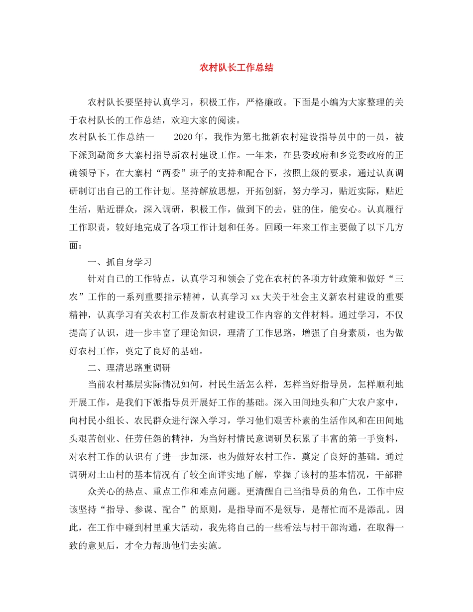 农村队长工作总结 _第1页