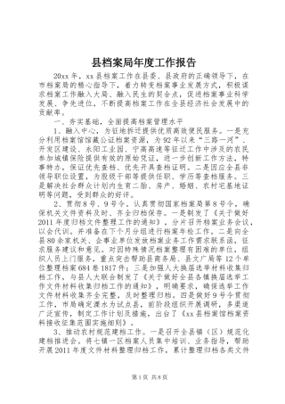 县档案局年度工作报告