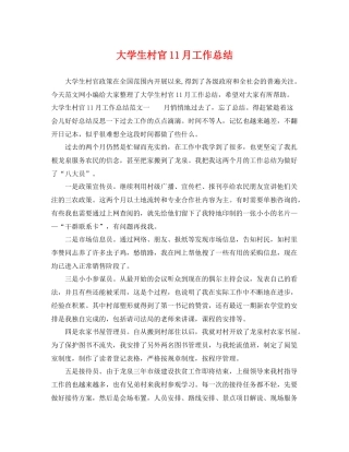 大学生村官11月工作总结 